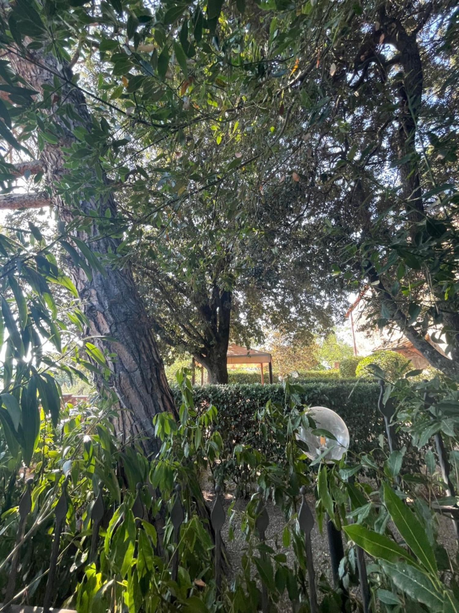 Intero Appartamento Con Private Pool E Jacuzzi Podere Settefrati Montaione Exteriér fotografie